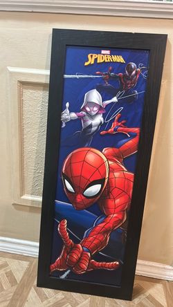 Spider-Man wall decor