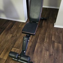 Weight Bench With Adjustable Back And Insert For Back Extensions