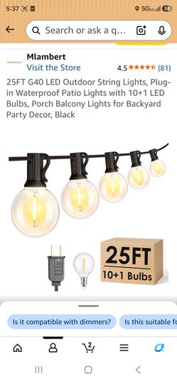25ft Outdoor lights