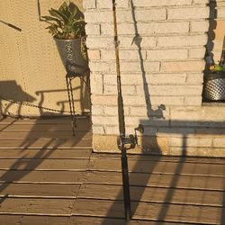 Ugly Stick Tiger And Reel