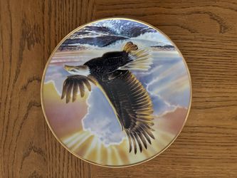 Set of 14 franklin mint eagle collector plates