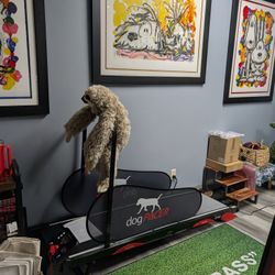 Dogpacer 4.0 Dog Treadmill 