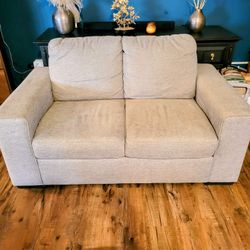 Grey Loveseat Sofa