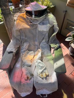 Bee Suit