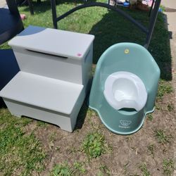 $4 Step Stool Or BabyBjörn Potty