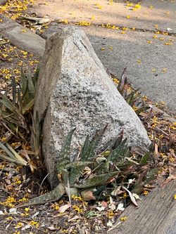 Free land scraping rocks.