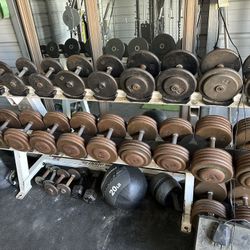 Gym Equipment 