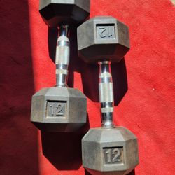 SET OF 12LB RUBBER COATED 
 HEXHEAD DUMBBELLS TOTAL 24LBs  
11525 S HALSTED DUNKIN DONUTS/7111.S WESTERN WALGREENS  
20$  CASH ONLY AS IS.