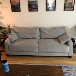 Large Couch 