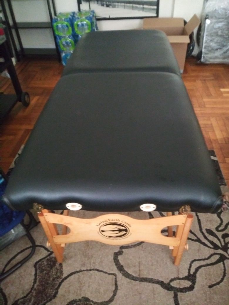 EXCELLENT CONDITION High end Living Earth Crafts Phoenix Portable massage table