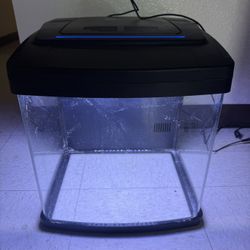 biocube 14 saltwater 