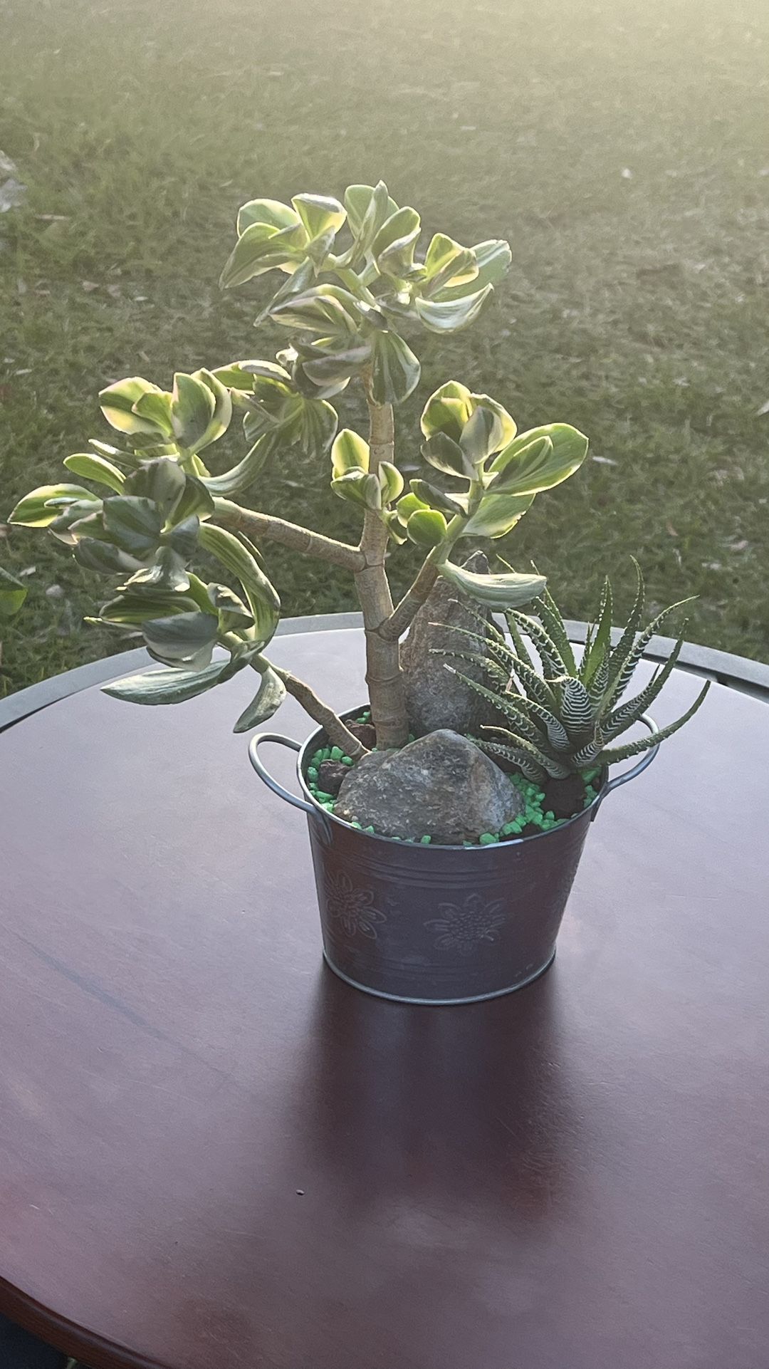 Very Healthy Tricolor Jade In Metal Vase