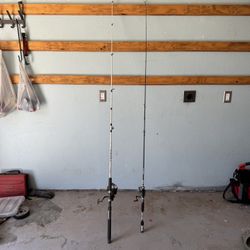 2 Fishing Poles