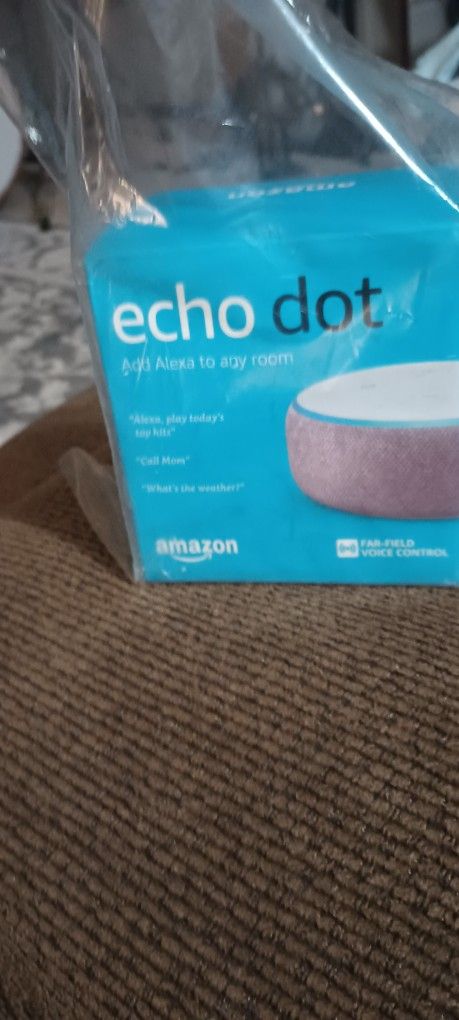Echo Dot