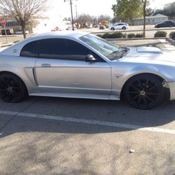 2004 Mustang GT 140,000 Miles V8 4.6 Liters Runs Great Inside Is Very Clean Behind On Tags
