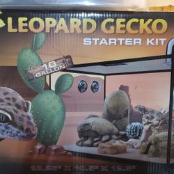 Gecko Starter Kit