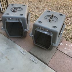 PET Boxes 