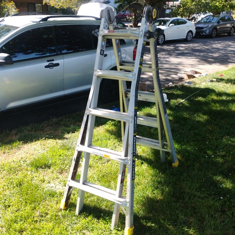 22' Gorilla Ladder