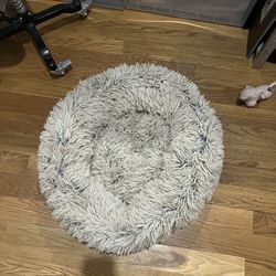 Brand New Dog/Cat Bed