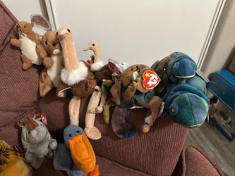 Beanie Babies