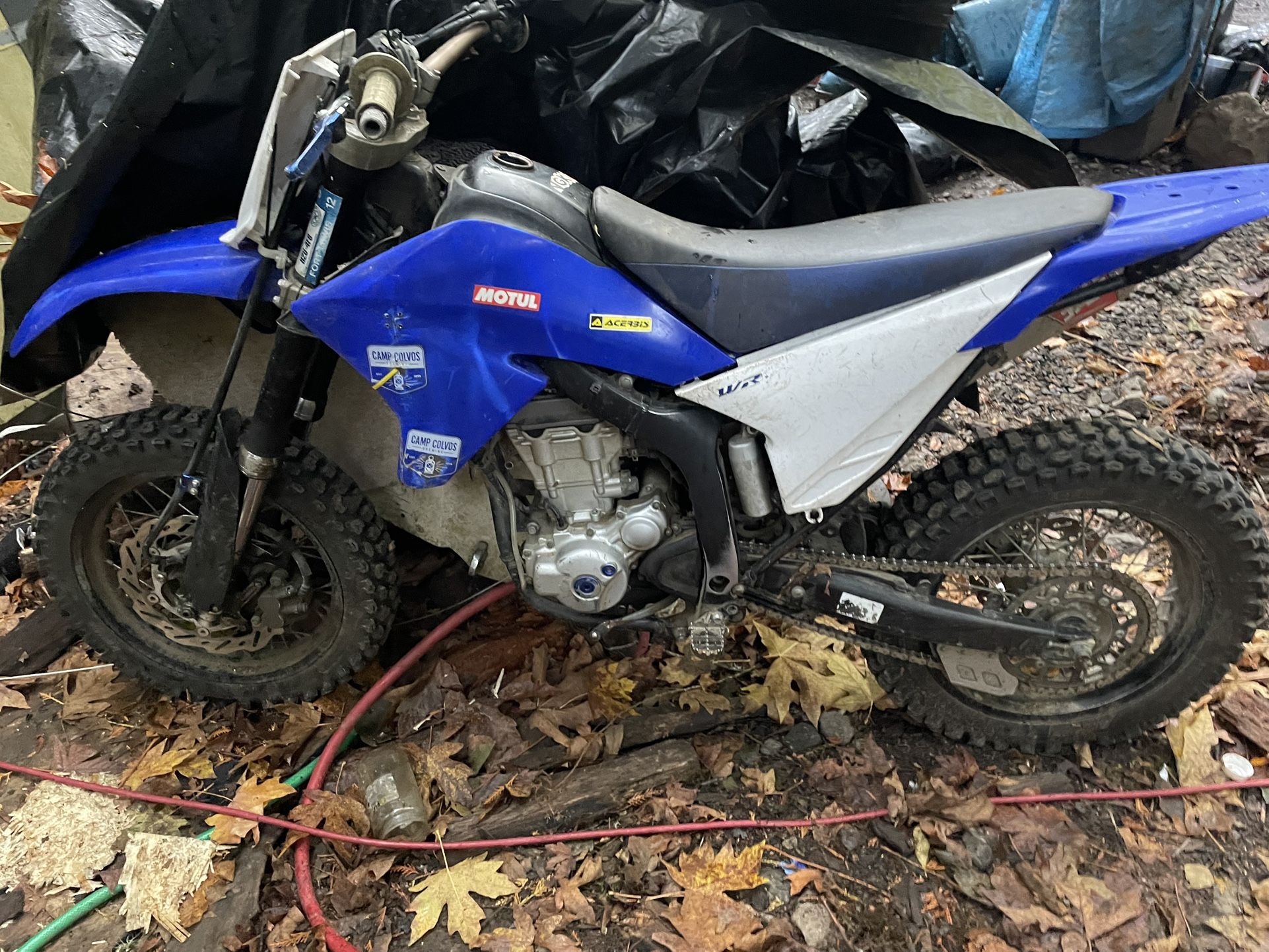 2008 Yamaha Wr250x