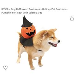 Brand new Size M Dog Halloween Costumes - Holiday Pet Costume - Pumpkin Felt Coat with Velcro Strap  Whitestone/Flushing, Queens or Downtown Manhattan
