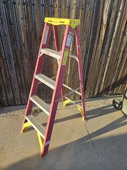 5' Fiberglass Ladder