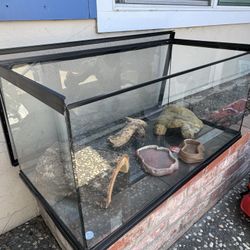 50 Gal Reptile Tank