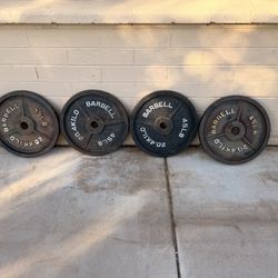 45lb Cap Weight Plates