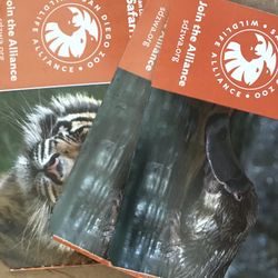 Safari Tickets