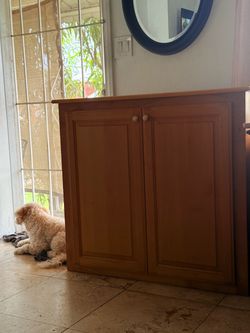 Wooden Two-Door Storage Cabinet