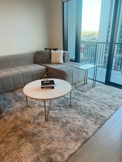 7 × 10 Light Gray Area Rug