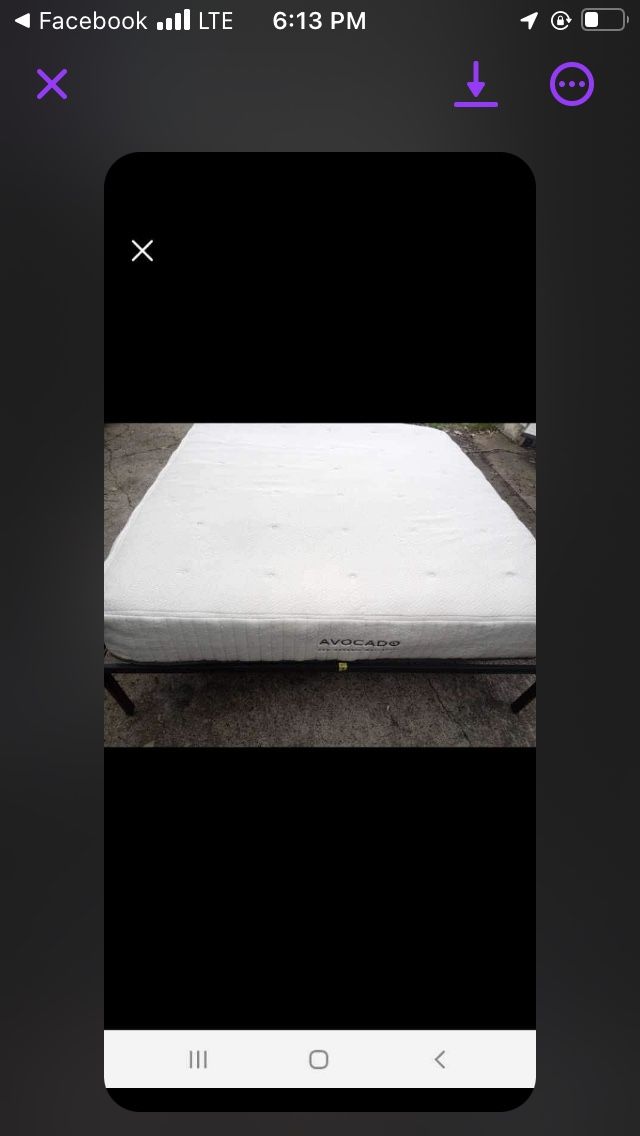 Queen Eco Avocado Mattress