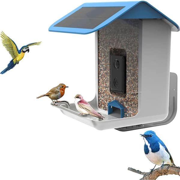 Tweety feed smart bird feeder