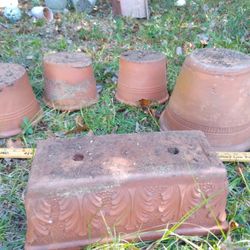 5 Unusual Clay Planters