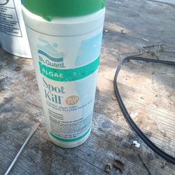 Pool Algae Treatment 