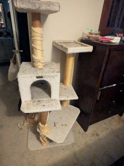 Cat Tower