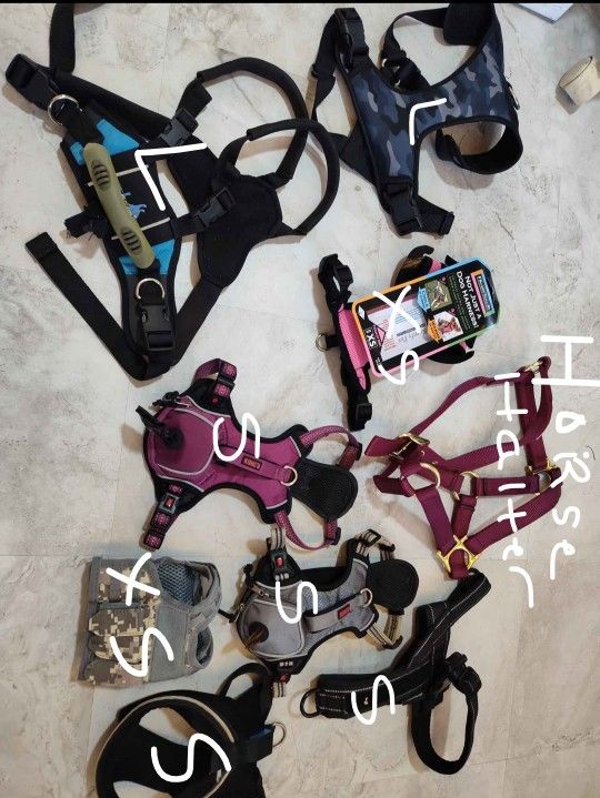 Dog / Pet Harnesses / Horse Halter $10 Each