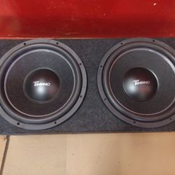 15 Inch Subwoofers And B Box