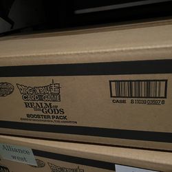 Realm Of The Gods Case