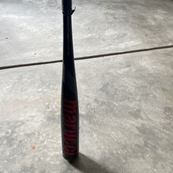 Baseball Bat 32 Inch 