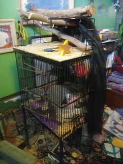 Bird cage