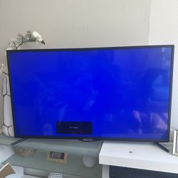 43’ Sceptre TV with remote 