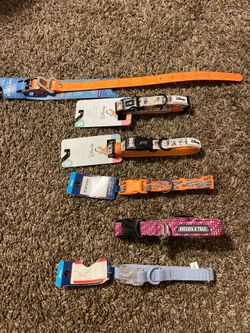 Small dog collars