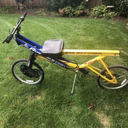 The Crew Total Body Fitness RowBike