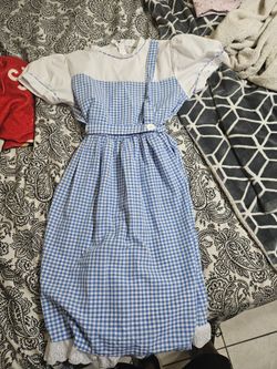 Dorothy dress costume