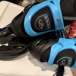 PAPAlSON roller skates