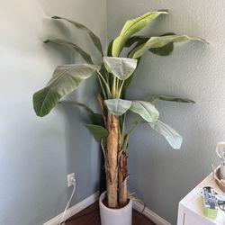 High Quality Fake Plants (NOT FREE, prices in caption)