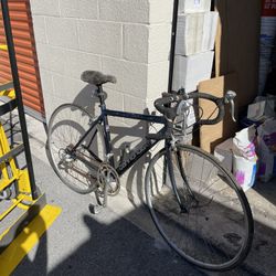 Cannondale Bike R600