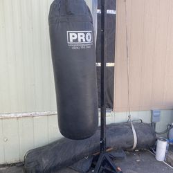 Pro Boxing Equipment, Both Bags And The Speed Ball